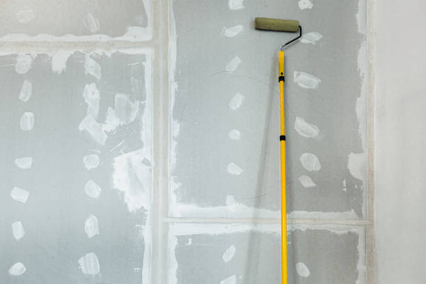 Best Asbestos and Lead Testing During Mold Inspection  in Skokie, IL