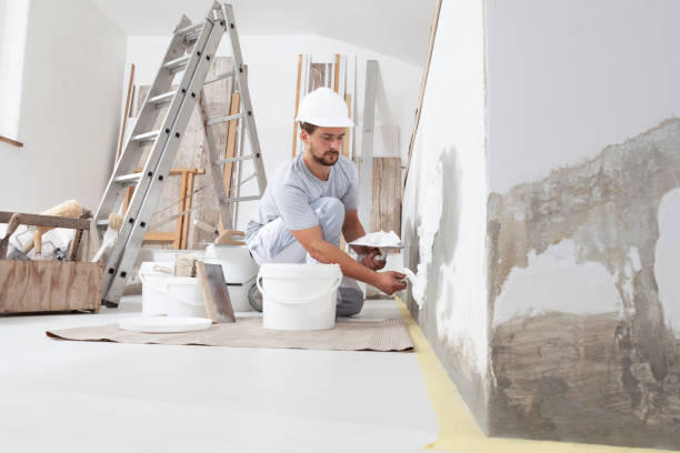 Best HVAC Mold Inspection and Cleaning  in Skokie, IL