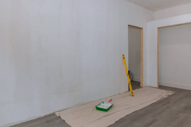 Best Basement Mold Removal  in Skokie, IL